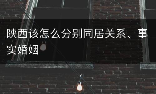 陕西该怎么分别同居关系、事实婚姻