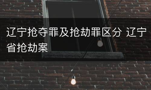 辽宁抢夺罪及抢劫罪区分 辽宁省抢劫案