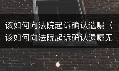 该如何向法院起诉确认遗嘱（该如何向法院起诉确认遗嘱无效）
