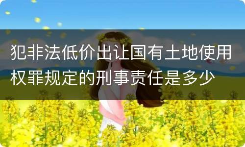 犯非法低价出让国有土地使用权罪规定的刑事责任是多少