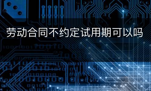 劳动合同不约定试用期可以吗