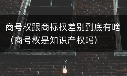 商号权跟商标权差别到底有啥（商号权是知识产权吗）