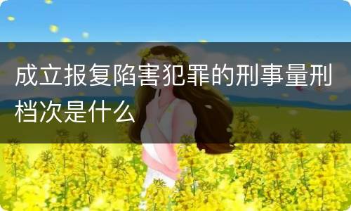 成立报复陷害犯罪的刑事量刑档次是什么