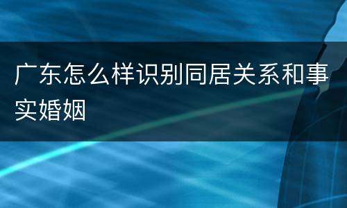 广东怎么样识别同居关系和事实婚姻