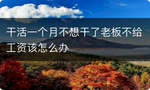 干活一个月不想干了老板不给工资该怎么办