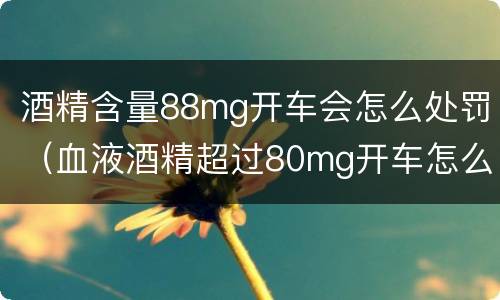酒精含量88mg开车会怎么处罚（血液酒精超过80mg开车怎么处罚）