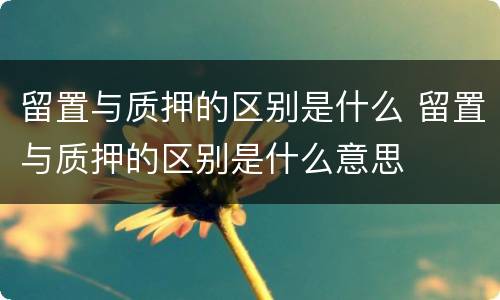 留置与质押的区别是什么 留置与质押的区别是什么意思