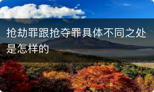 抢劫罪跟抢夺罪具体不同之处是怎样的