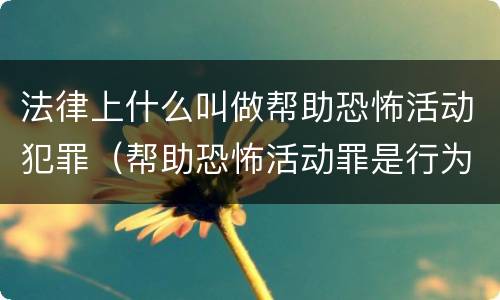 法律上什么叫做帮助恐怖活动犯罪（帮助恐怖活动罪是行为犯吗）