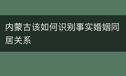 内蒙古该如何识别事实婚姻同居关系