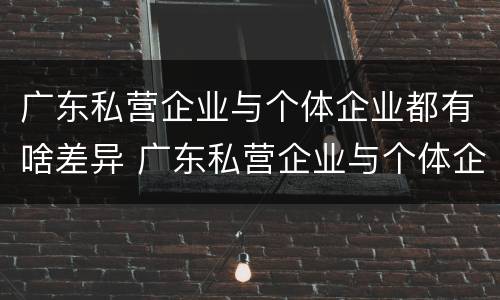 广东私营企业与个体企业都有啥差异 广东私营企业与个体企业都有啥差异呢