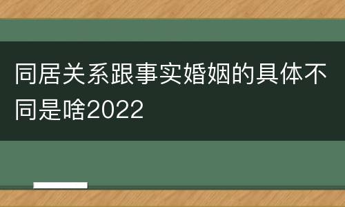同居关系跟事实婚姻的具体不同是啥2022