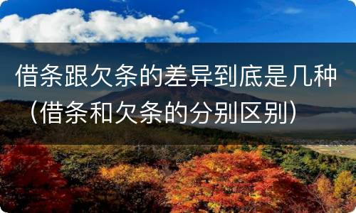 借条跟欠条的差异到底是几种（借条和欠条的分别区别）