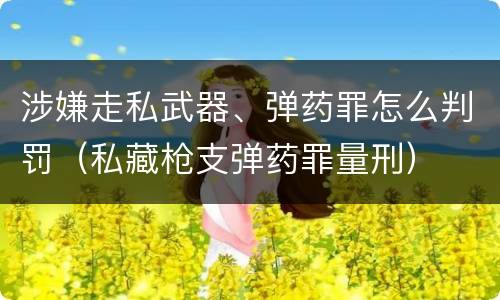 涉嫌走私武器、弹药罪怎么判罚（私藏枪支弹药罪量刑）