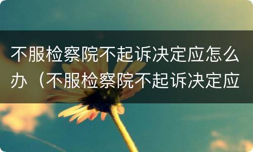 不服检察院不起诉决定应怎么办（不服检察院不起诉决定应怎么办理）
