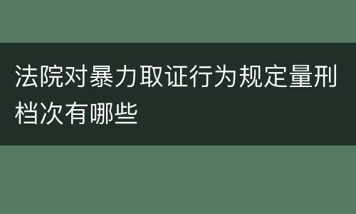法院对暴力取证行为规定量刑档次有哪些