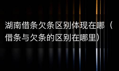 湖南借条欠条区别体现在哪（借条与欠条的区别在哪里）