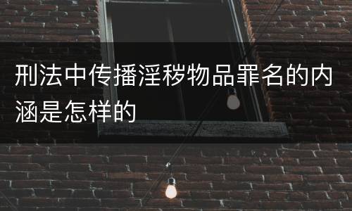 刑法中传播淫秽物品罪名的内涵是怎样的