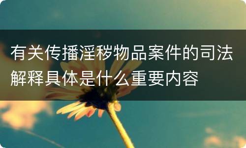有关传播淫秽物品案件的司法解释具体是什么重要内容