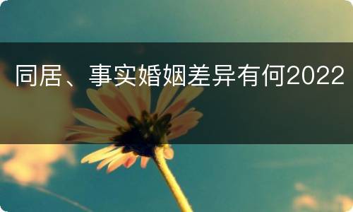 同居、事实婚姻差异有何2022