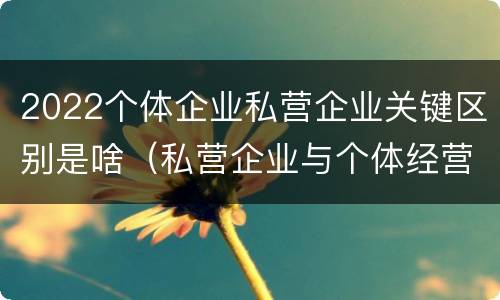 2022个体企业私营企业关键区别是啥（私营企业与个体经营企业的区别）