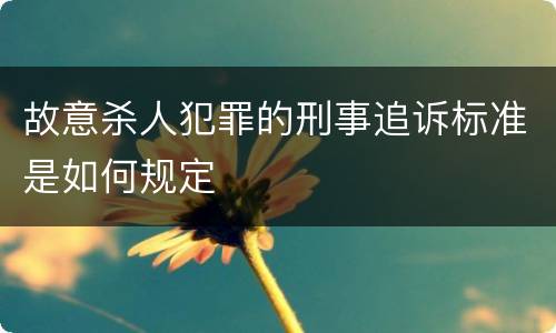 故意杀人犯罪的刑事追诉标准是如何规定