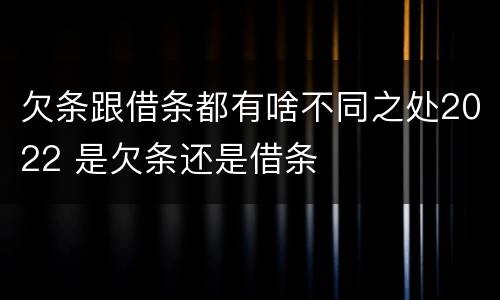 欠条跟借条都有啥不同之处2022 是欠条还是借条