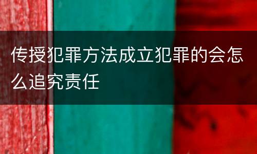 传授犯罪方法成立犯罪的会怎么追究责任