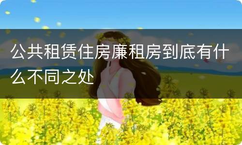 公共租赁住房廉租房到底有什么不同之处