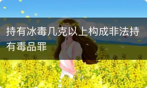 持有冰毒几克以上构成非法持有毒品罪