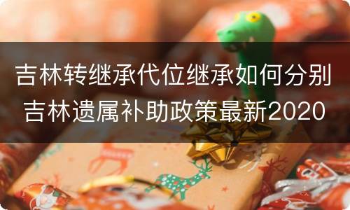 吉林转继承代位继承如何分别 吉林遗属补助政策最新2020