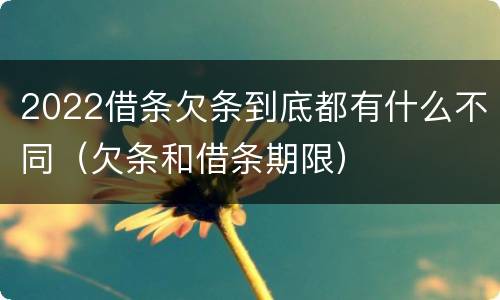 2022借条欠条到底都有什么不同（欠条和借条期限）