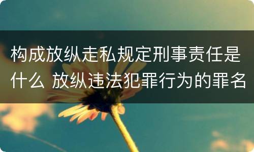 构成放纵走私规定刑事责任是什么 放纵违法犯罪行为的罪名