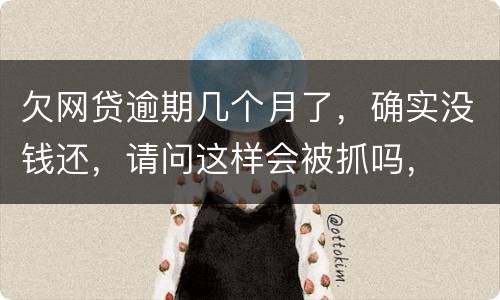 欠网贷逾期几个月了，确实没钱还，请问这样会被抓吗，