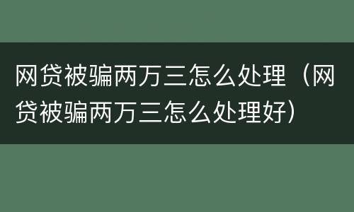 网贷被骗两万三怎么处理（网贷被骗两万三怎么处理好）