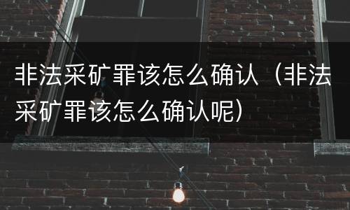 非法采矿罪该怎么确认（非法采矿罪该怎么确认呢）