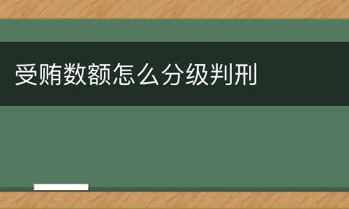 受贿数额怎么分级判刑