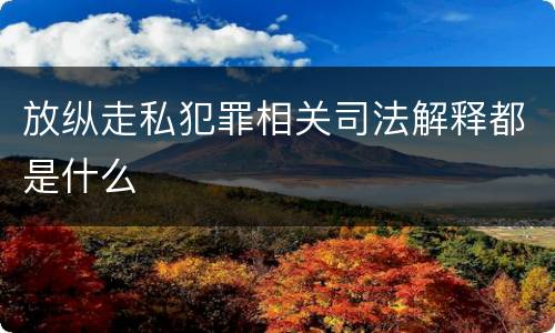 放纵走私犯罪相关司法解释都是什么