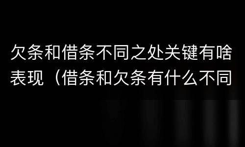 欠条和借条不同之处关键有啥表现（借条和欠条有什么不同吗）