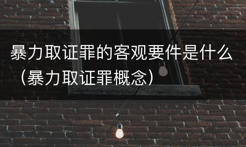 暴力取证罪的客观要件是什么（暴力取证罪概念）