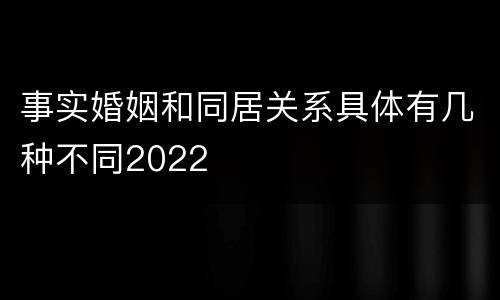 事实婚姻和同居关系具体有几种不同2022