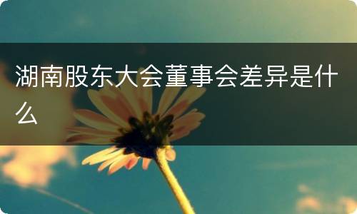 湖南股东大会董事会差异是什么