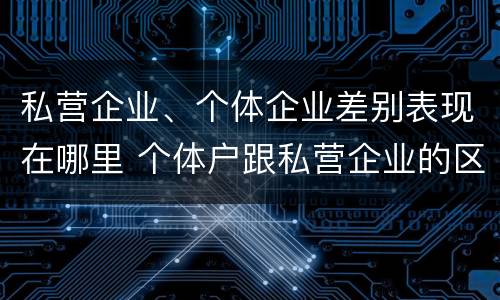私营企业、个体企业差别表现在哪里 个体户跟私营企业的区别