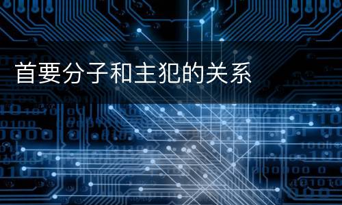 首要分子和主犯的关系