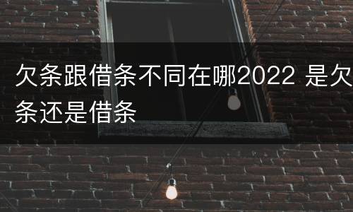 欠条跟借条不同在哪2022 是欠条还是借条