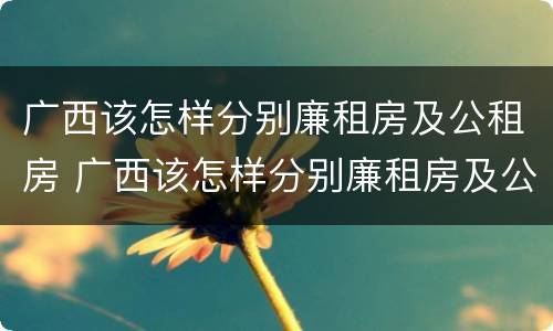 广西该怎样分别廉租房及公租房 广西该怎样分别廉租房及公租房名单