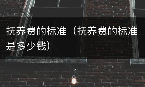 抚养费的标准（抚养费的标准是多少钱）
