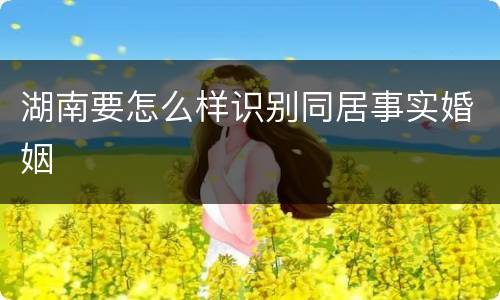 湖南要怎么样识别同居事实婚姻
