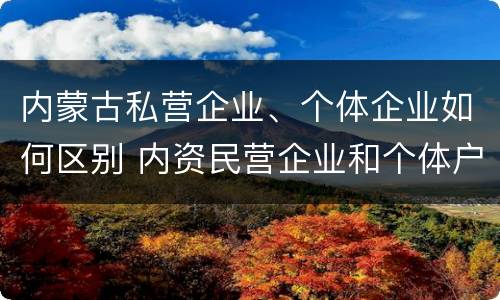 内蒙古私营企业、个体企业如何区别 内资民营企业和个体户