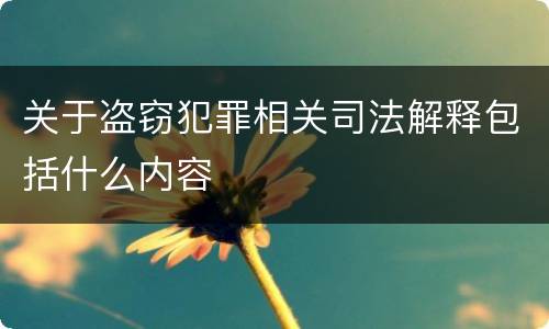 关于盗窃犯罪相关司法解释包括什么内容